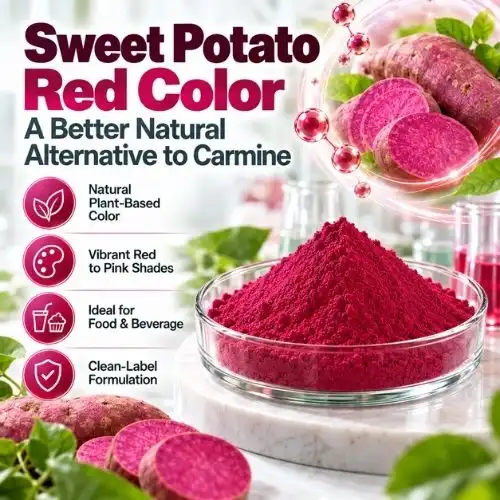 Sweet Potato Red Color as a Better Natural Alternative to Carmine